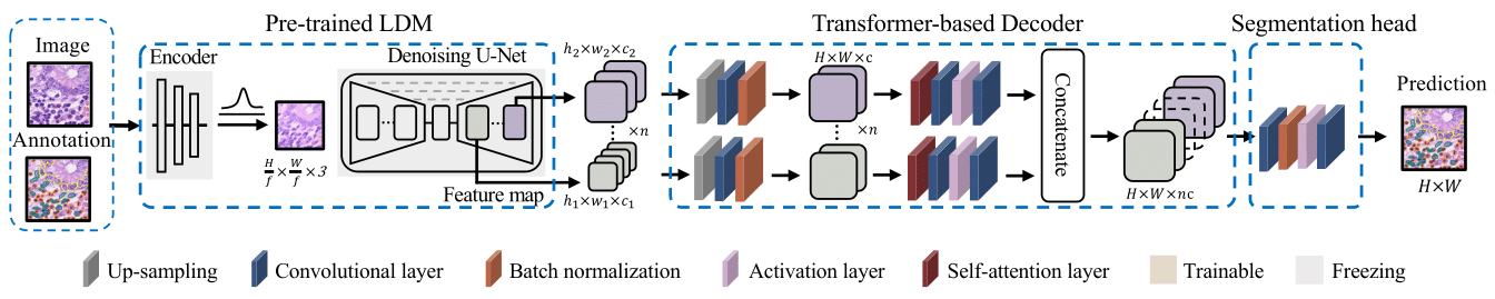 Nuclei diffusion + collaborative learning